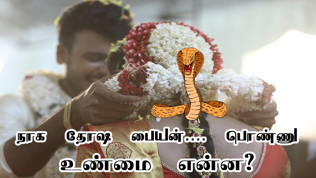 நாக தோஷம் தெரிந்த பெயர் தெரியாத விளக்கங்கள் | நாக தோஷம் | Naga thosam | Naga thosam vilakkam