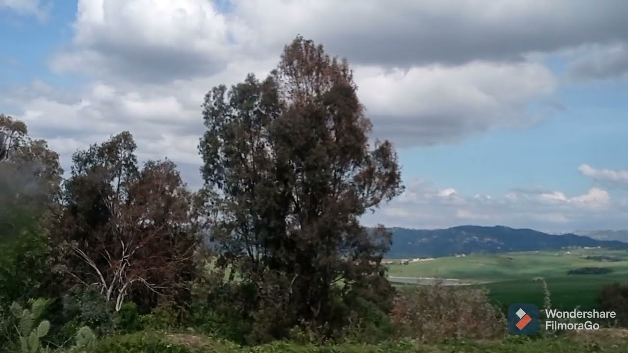 فريقات ، ذراع الميزان  ma belle région frikat , draa el mien  Tizi ouzou      la kabylie