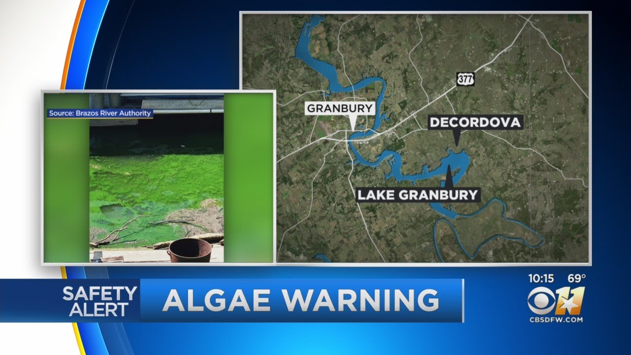 Brazos River Authority Issues Warning About Potential Danger Of Algae In Lake Granbury