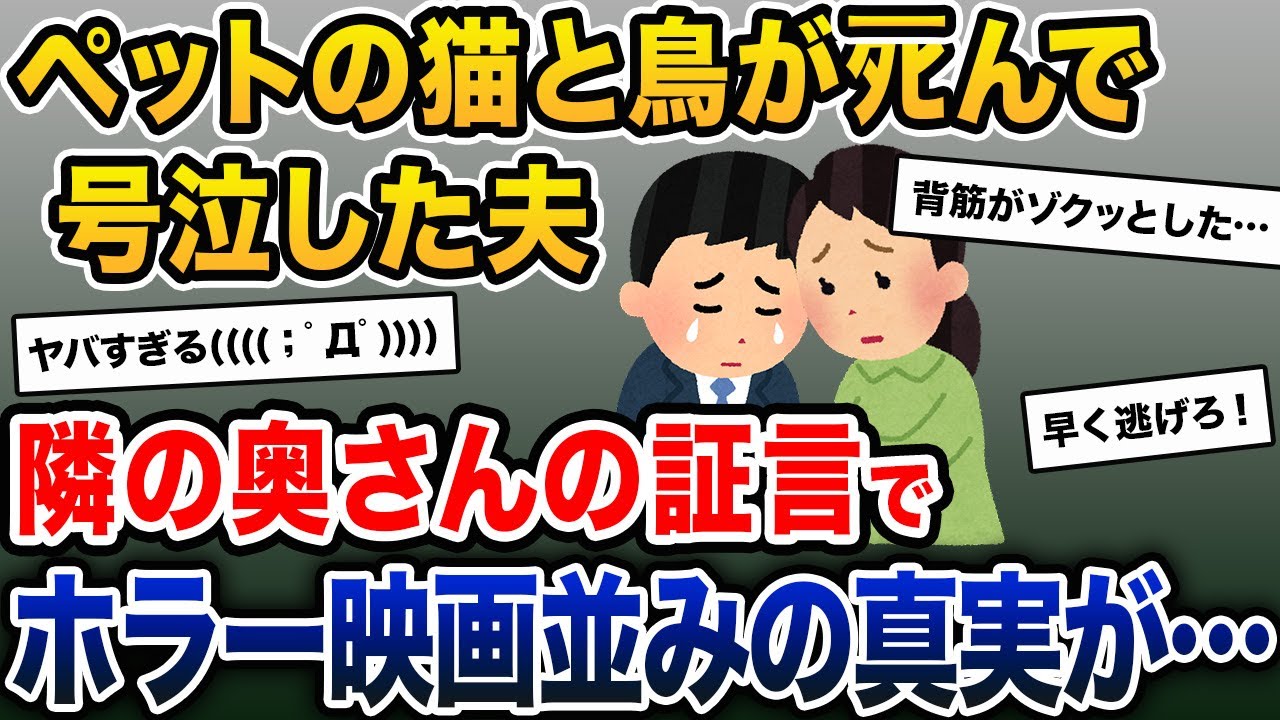 【鳥肌注意】ペットの猫と鳥がﾀﾋんで号泣した夫→隣の奥さんの証言で戦慄の真実が明らかになり…【2ch修羅場スレ・ゆっくり解説】