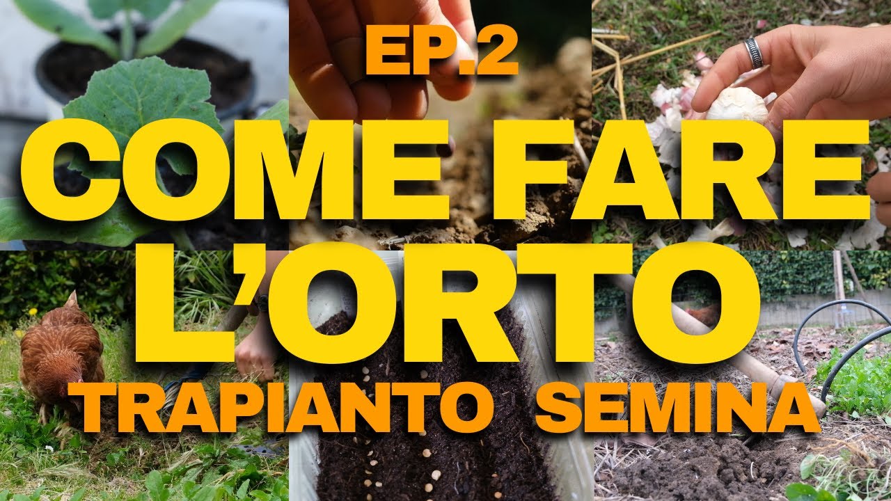 COME FARE UN ORTO NATURALE DA ZERO - Ep.2 -  Semina e Trapianto
