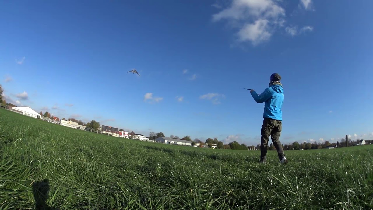 Low wind little practice HQ Invento Zebra