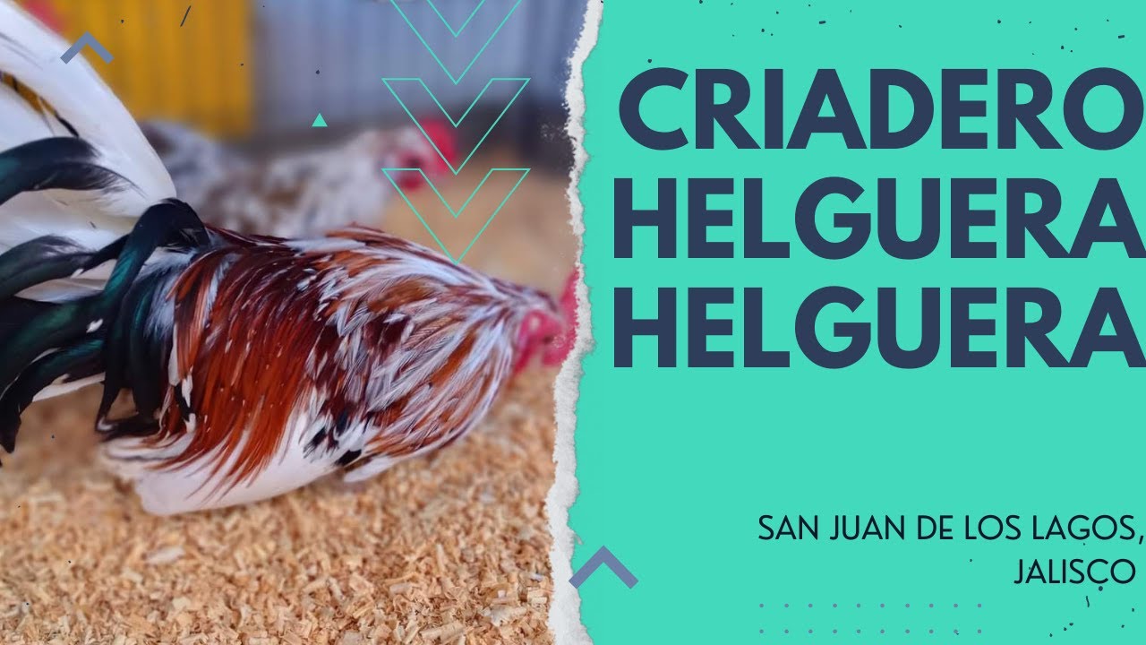 Criadero Helguera Helguera