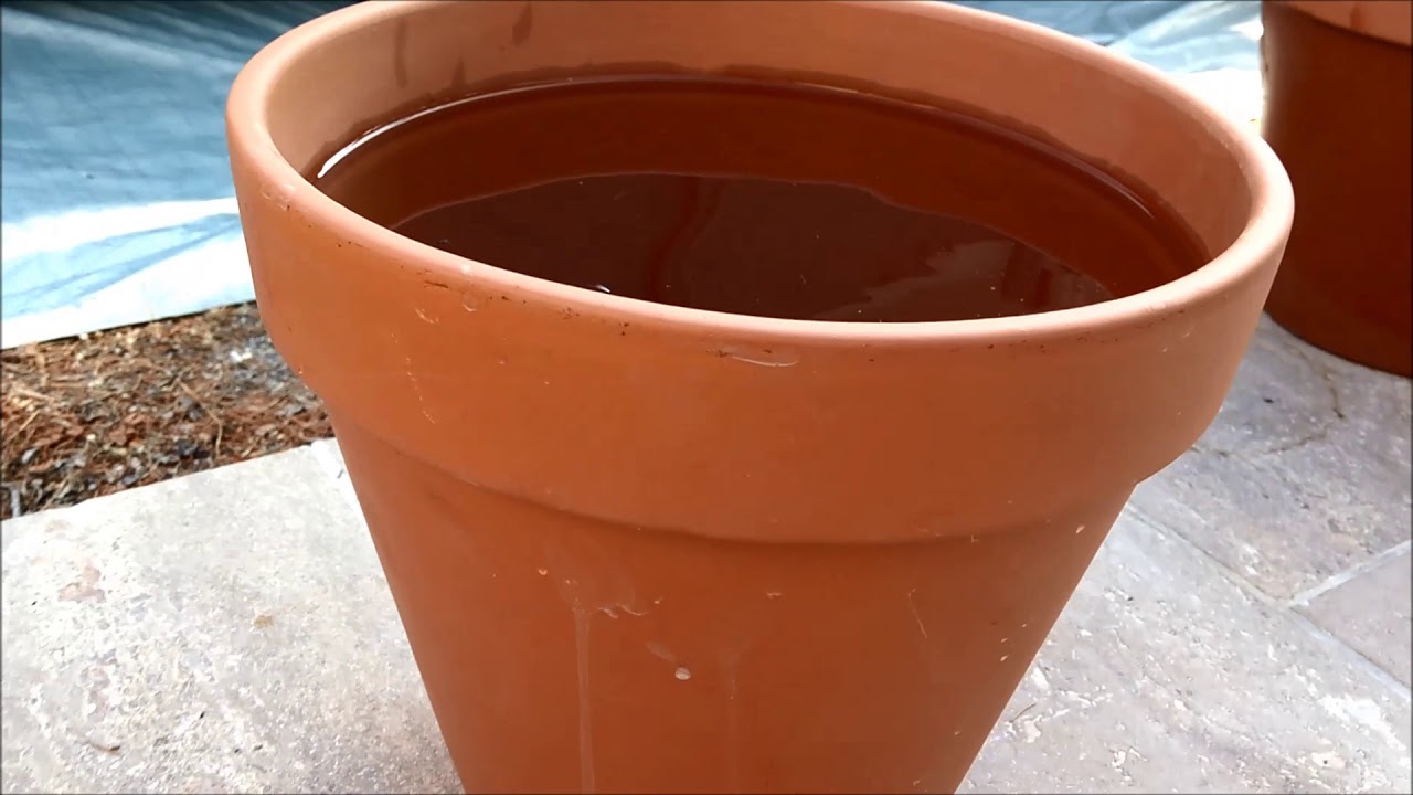 OYAS