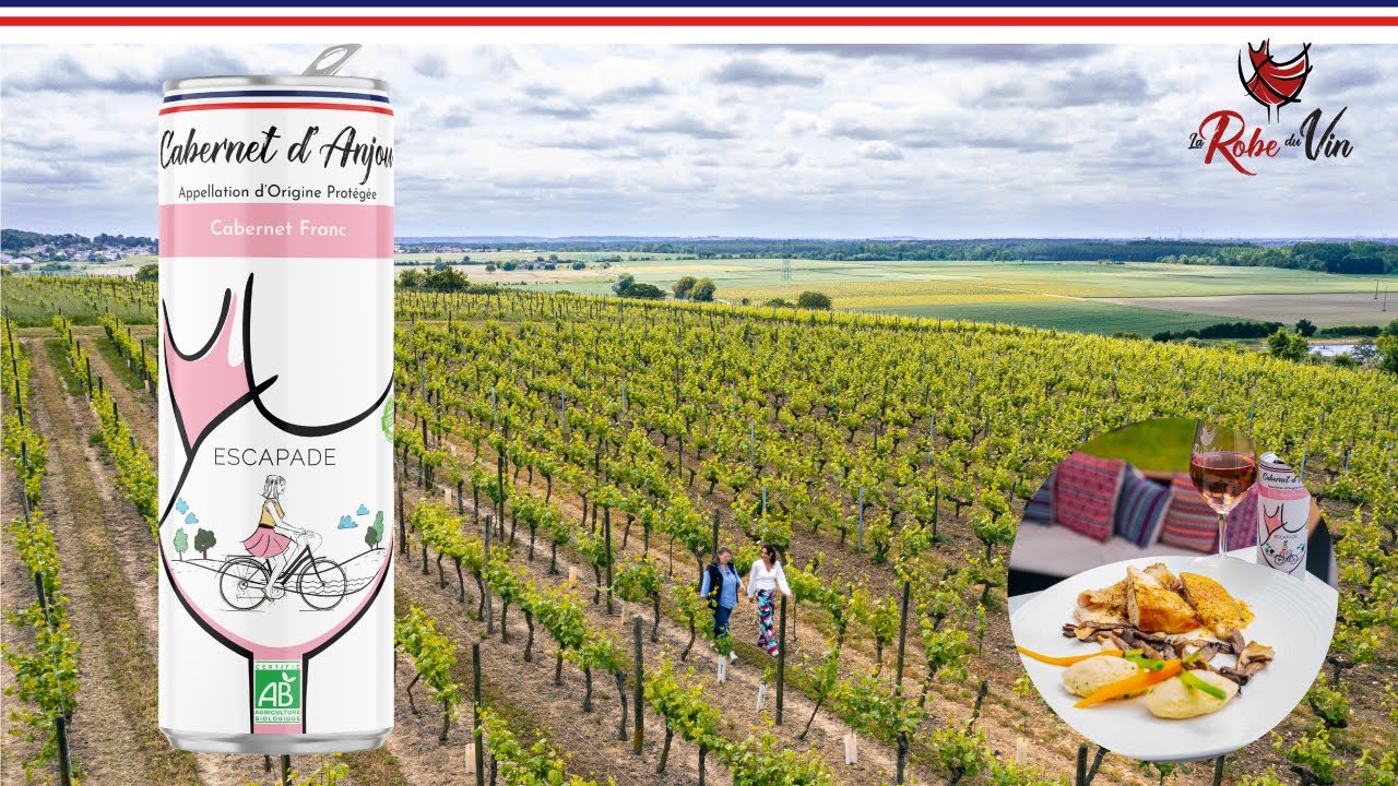 Canette de vin AOP Cabernet d'Anjou BIO 