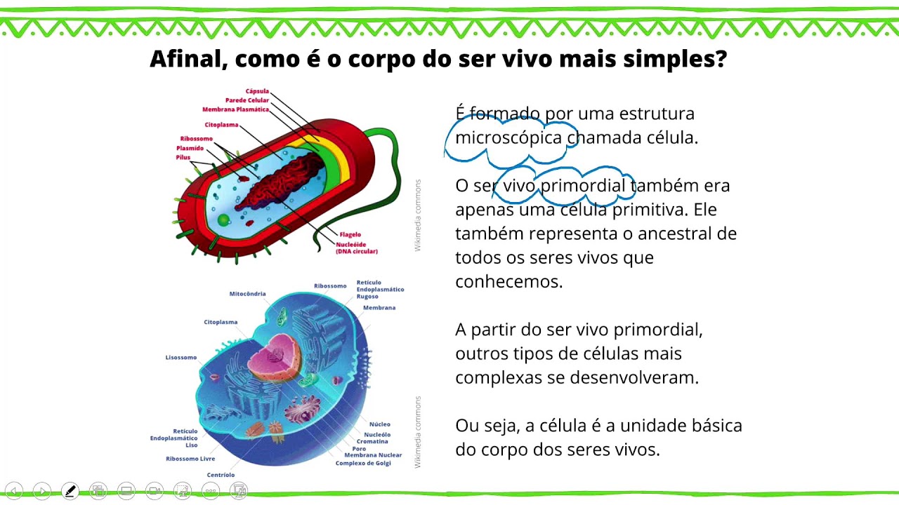 🔴 NOITE - CIÊNCIAS - 05.02.26 - 9º Ano - AULA 02