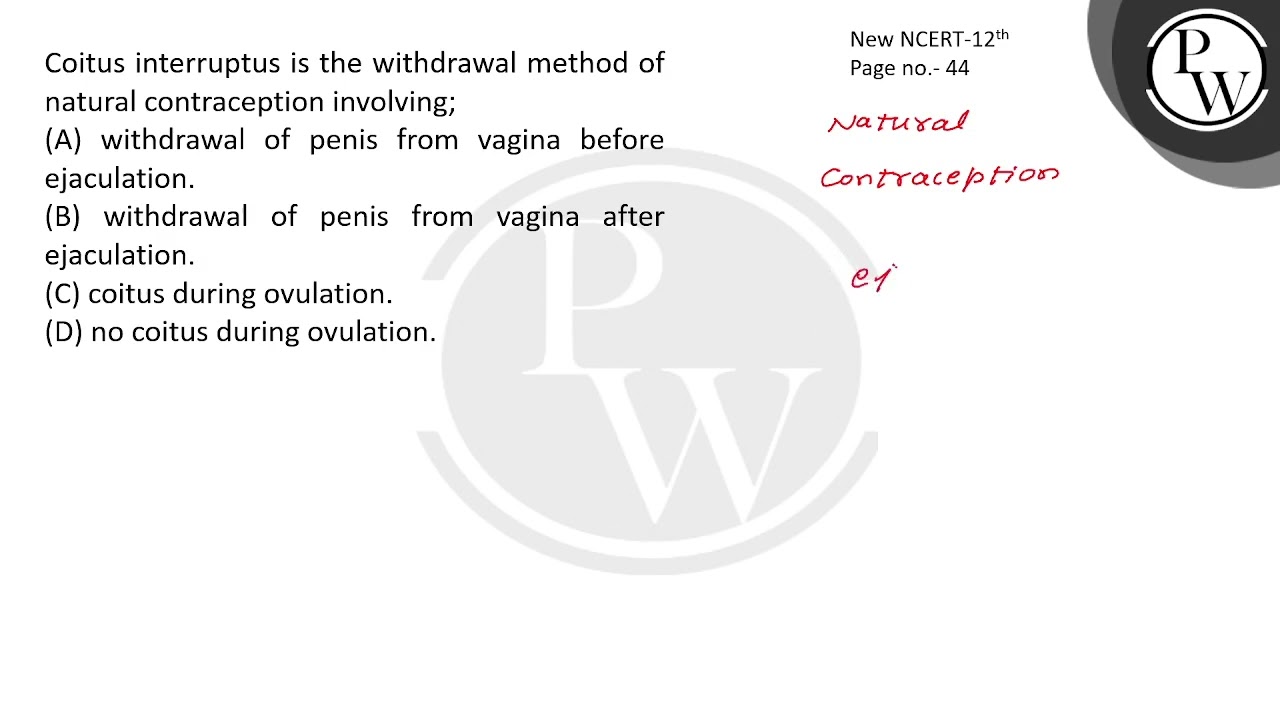 Coitus interruptus is the withdrawal method of natural contraception involving;....