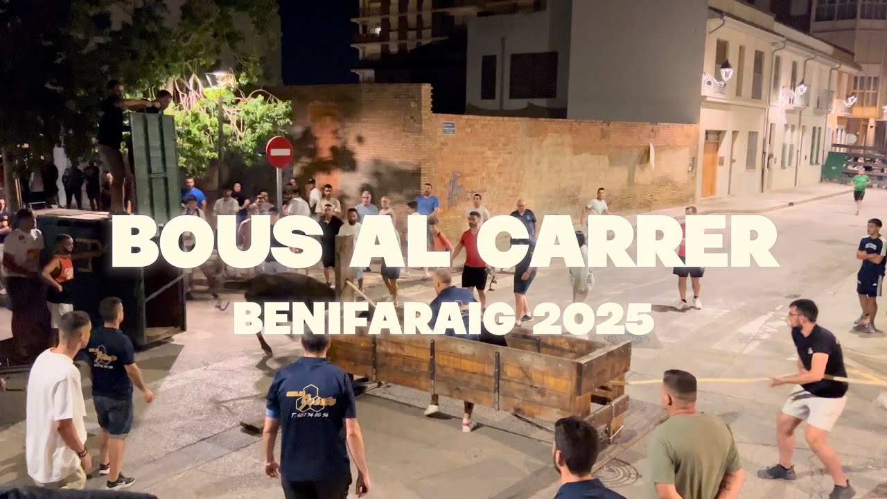 BOUS AL CARRER 2025