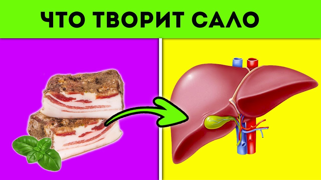 Я ела сало каждый день и случилось | Польза и вред сала