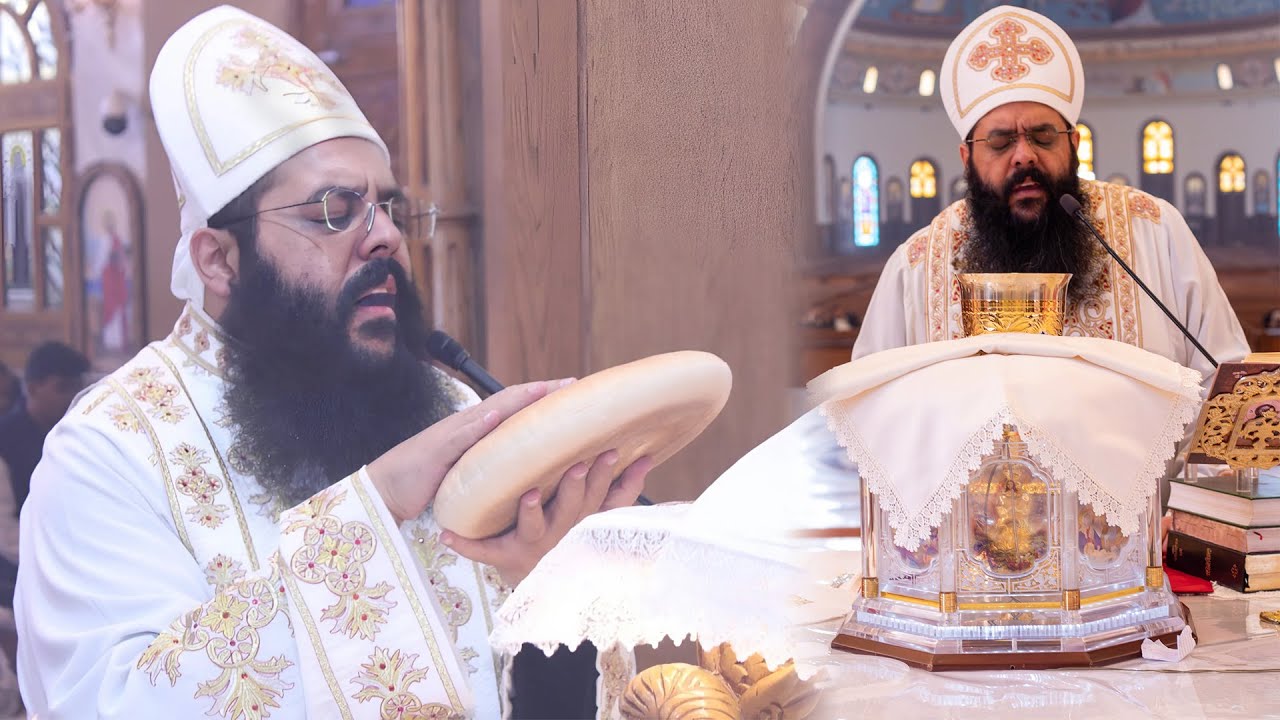 قداس الاحد الاول من الخمسين المقدسة ابونا رويس فريد
