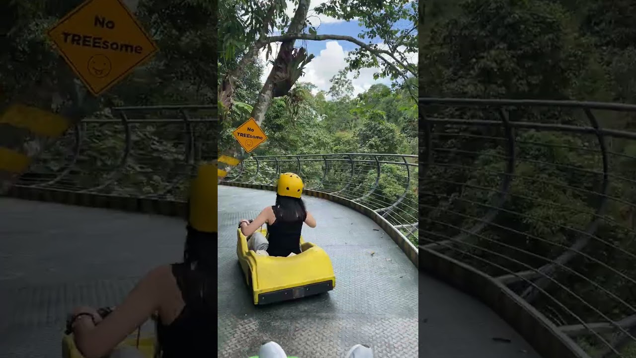 Trải nghiệm đầu tiên xe trượt tai Đà Lạt 🫢🫢🫢#dalat #xetruotscooter 