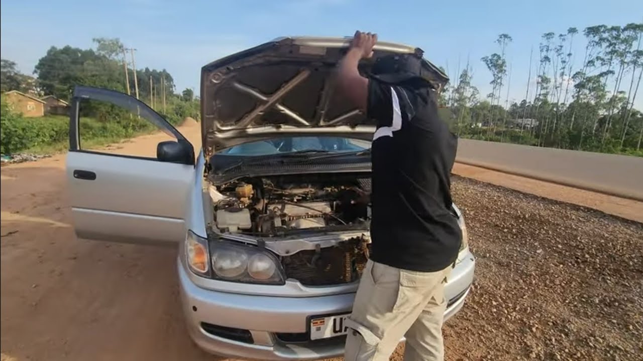 Toyota Ipsum: The budget mini-van