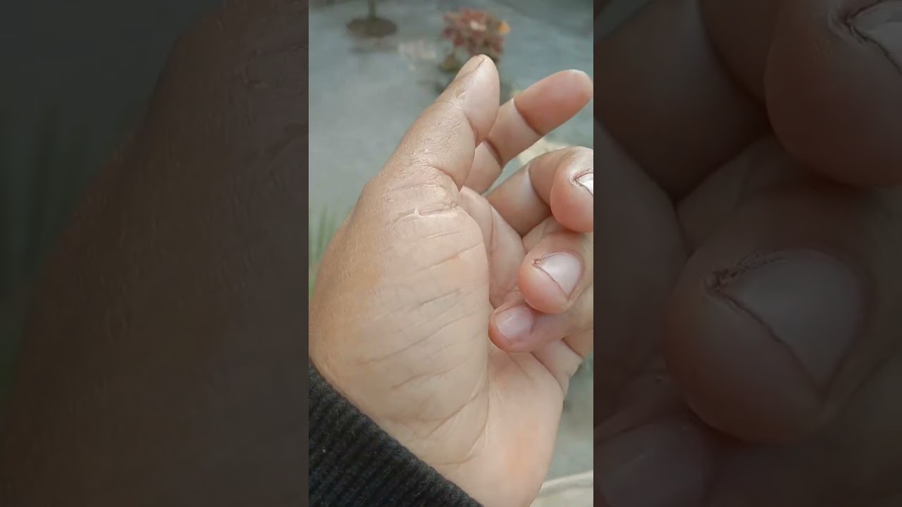 সুনীল গঙ্গোপাধ্যায়
