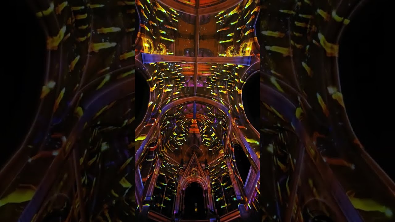 Eonarium: Genesis - (Barcelona 2024)