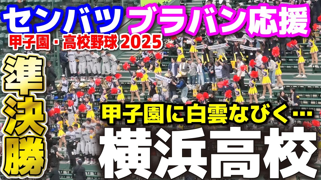 横浜高校　 応援団  応援メドレー【選抜高校野球　準決勝】甲子園に白雲なびく…　伝統の応援歌で盛り上がる！　 アルプス　高校野球応援　甲子園応援 チア  阪神甲子園球場　野球応援　野球応援