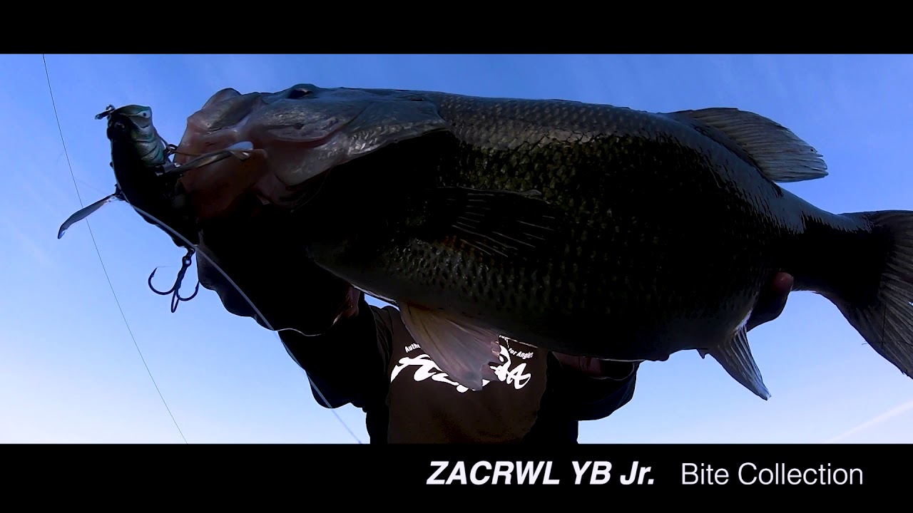 『ZACRAWL YB jr. バイトコレクション』 feat.江藤裕亮