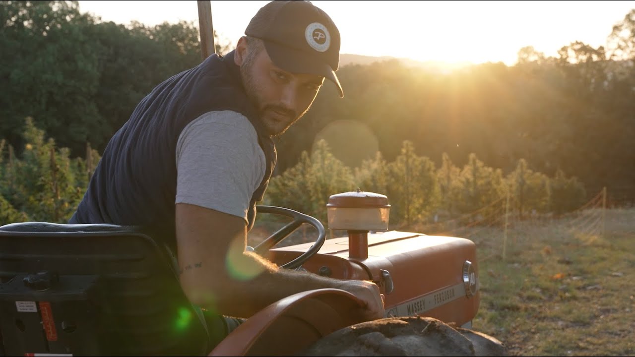 🎥 Production de CBD Bio &mdash; Terre et Tradition &agrave; Villematier