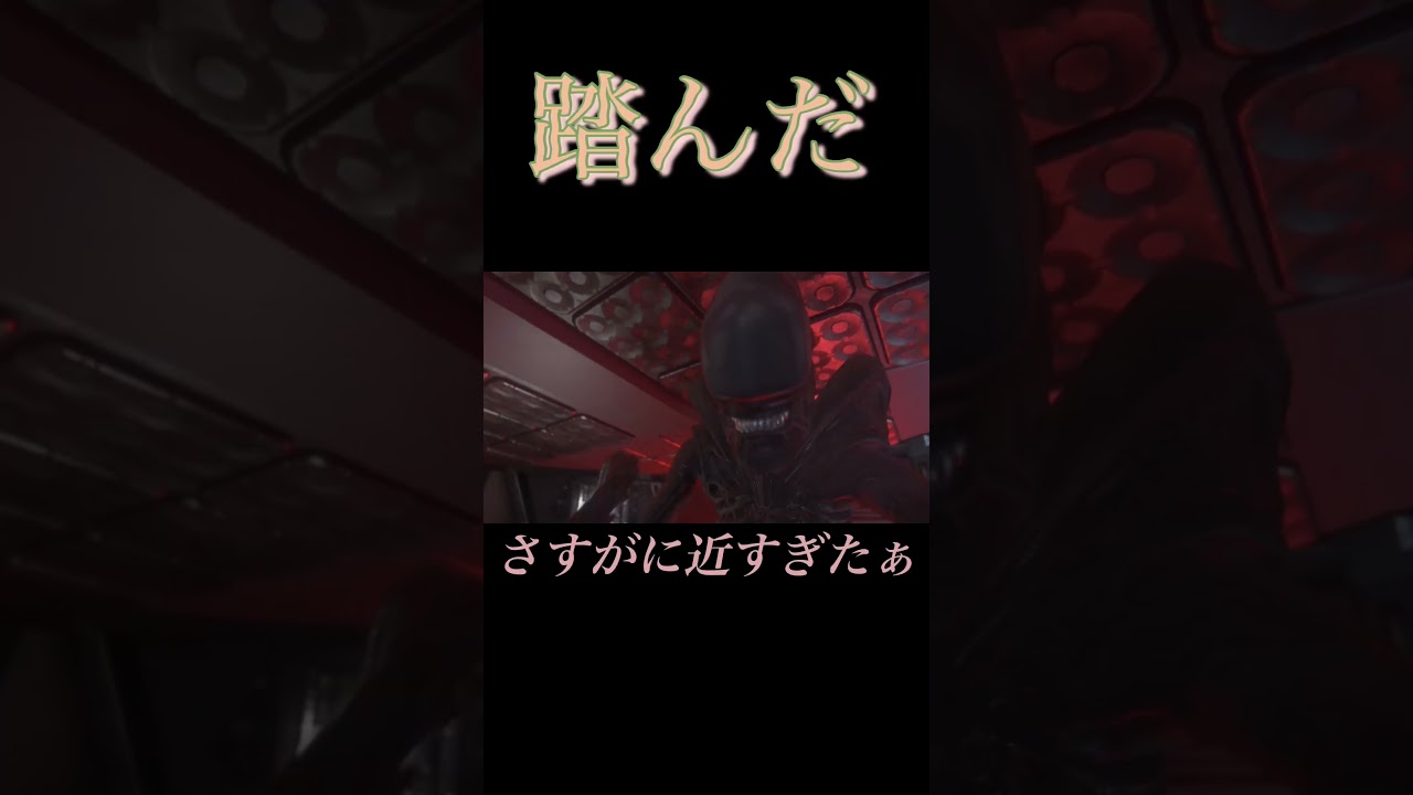 踏んだ