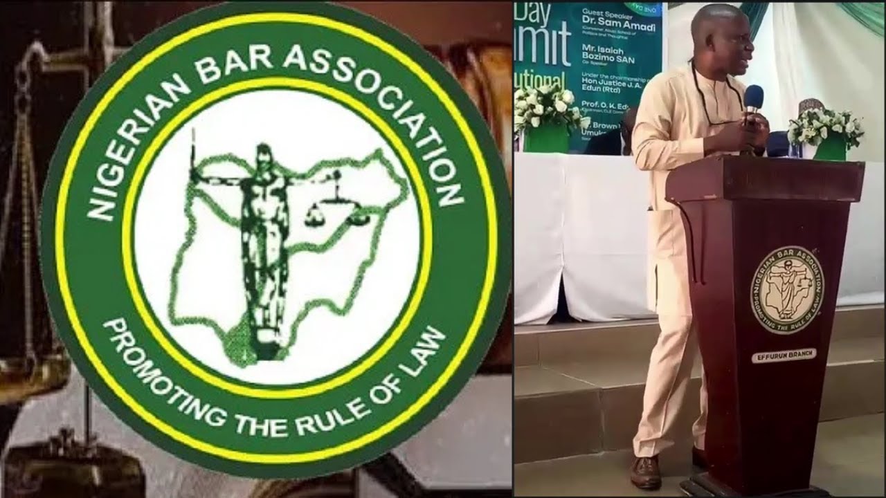 Constitutional Amendment: Is It the Panacea for Nigerian Problems?