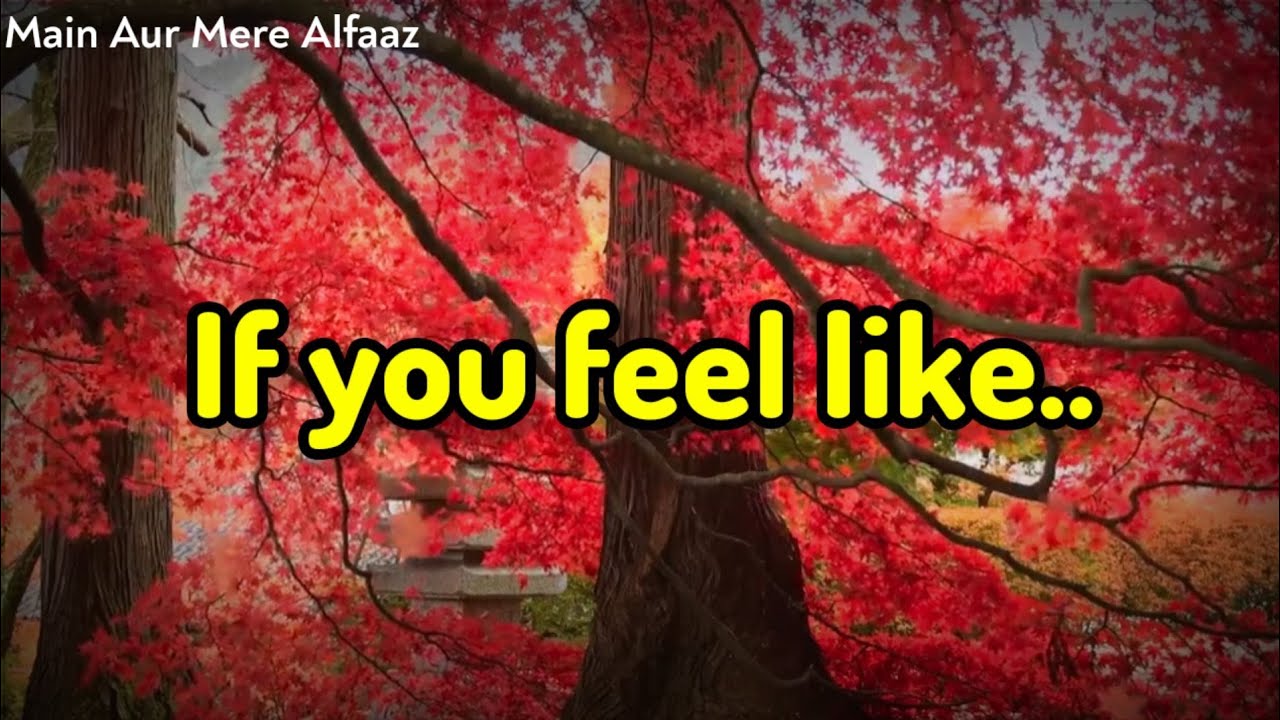Motivational Status| True Line Status| True Line Quotes| Inspirational Status For Whatsapp|