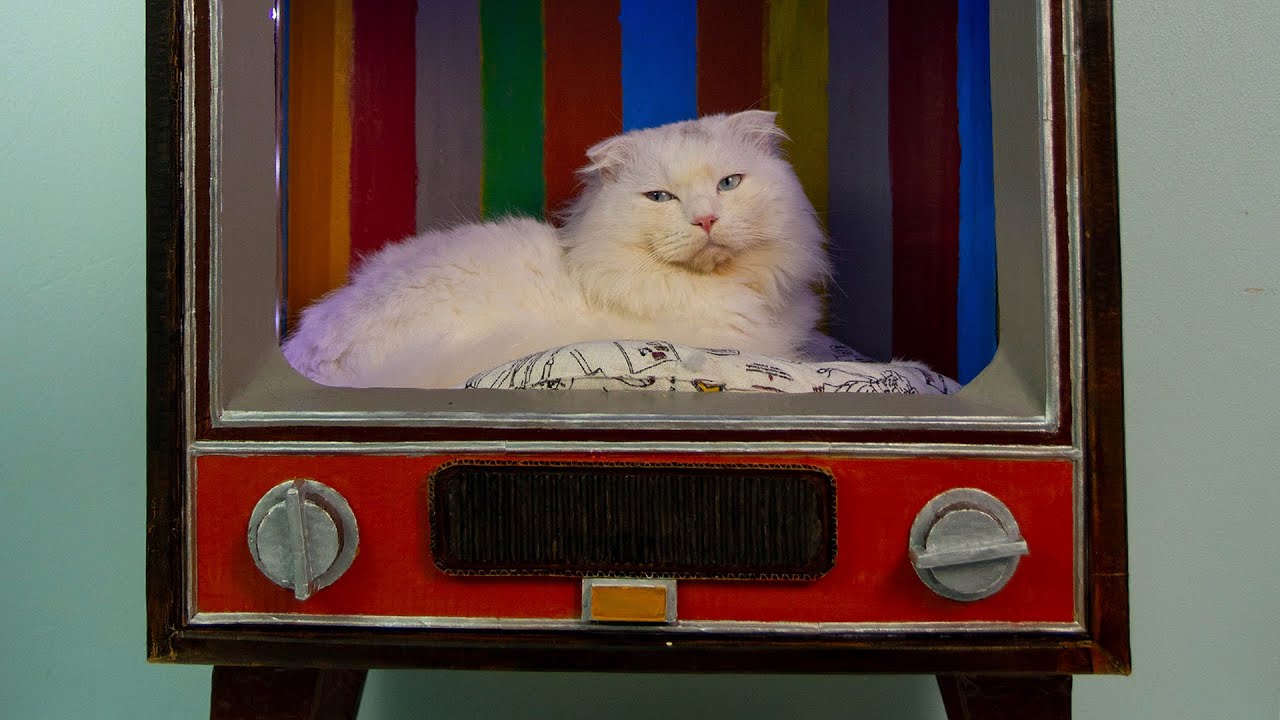 How To Make a Vintage TV Cat House From Cardboard