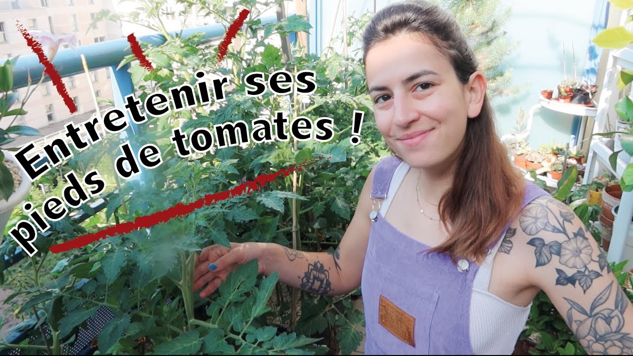 Prendre soin de ses pieds de tomates au balcon !