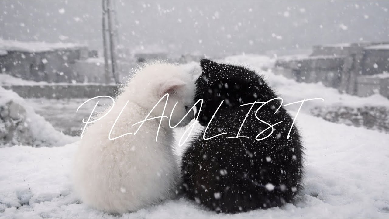 𝘗𝘭𝘢𝘺𝘭𝘪𝘴𝘵 | 이게 감성 발라드지 너무 좋잖아 🖤🎧 | 𝘏𝟤 𝘸𝘢𝘷𝘦