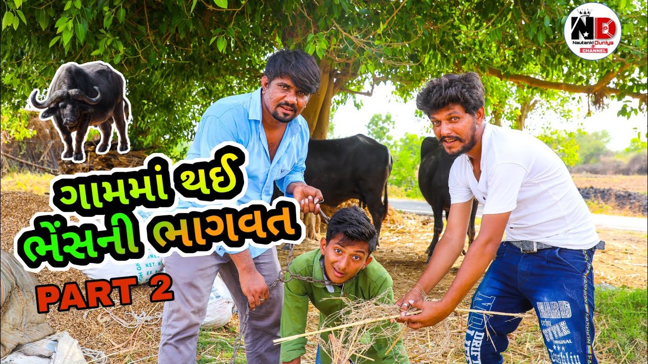 Dipo karshan ગામમાં થઈ ભેંસની ભાગવત  પાર્ટ 2 || Gam ma thai bhesni bhagvat || Gujarati comedy