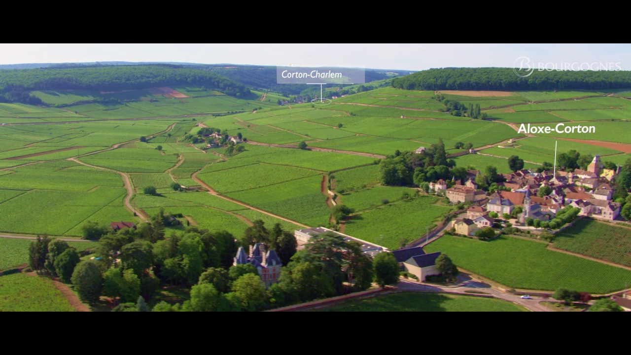 The vineyard of Bourgogne seen from the sky