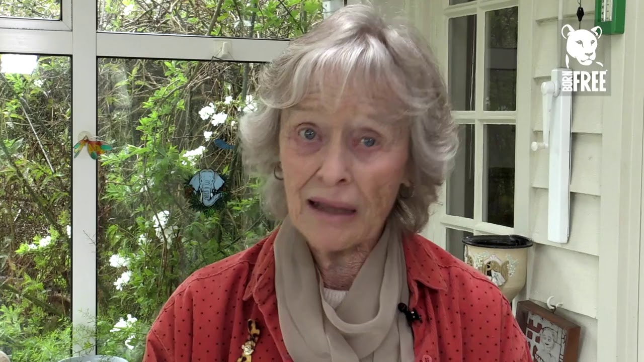 Virginia McKenna’s Message for King