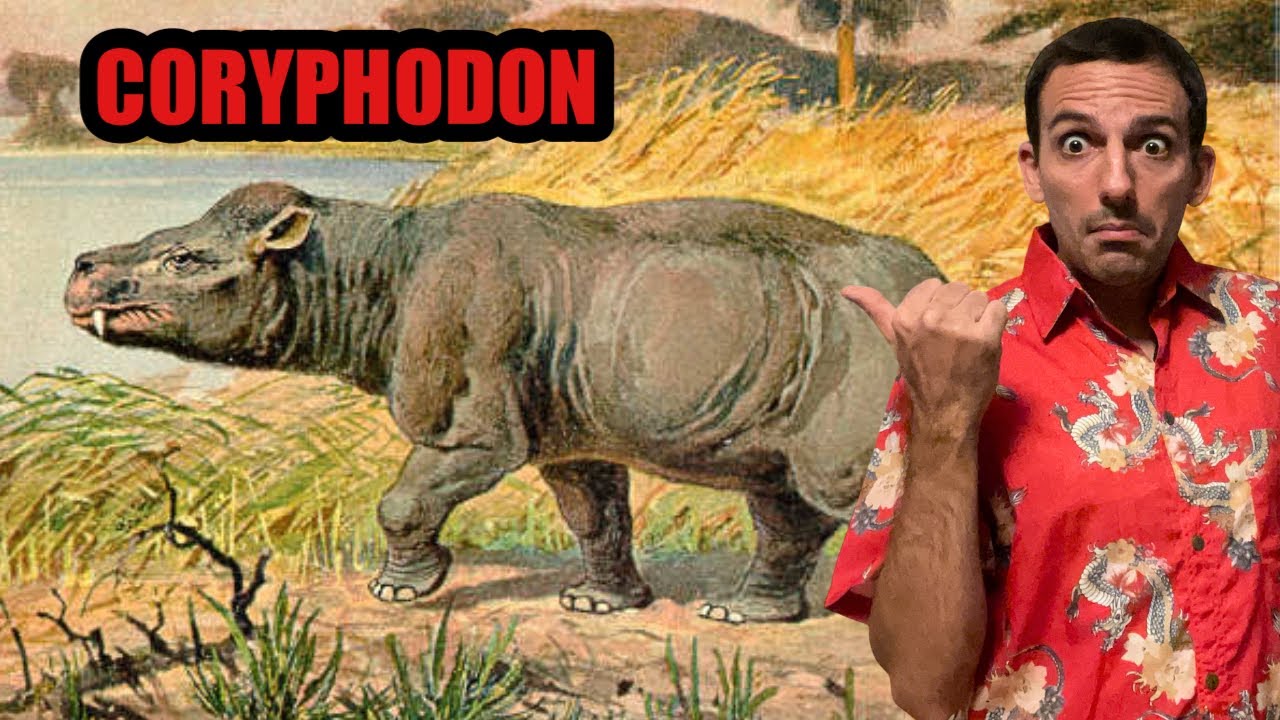 EST-CE UN HIPPOPOTAME PR&Eacute;HISTORIQUE ?