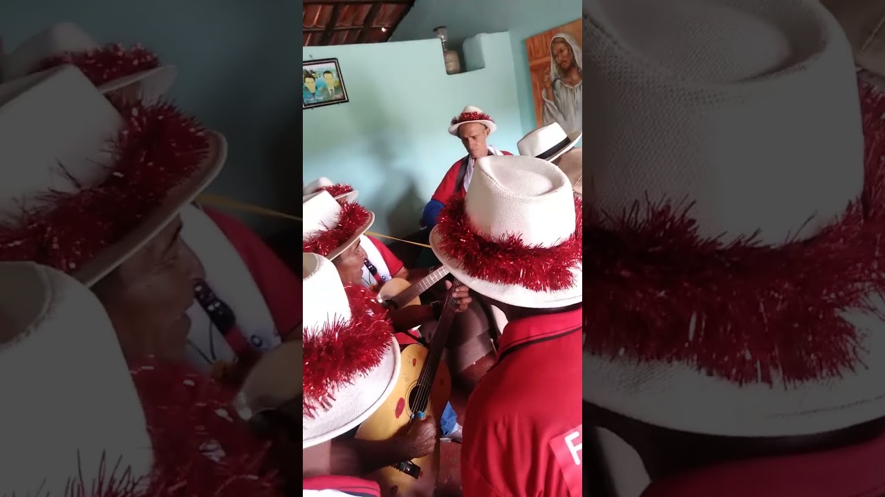 Folia de jailtom 2022