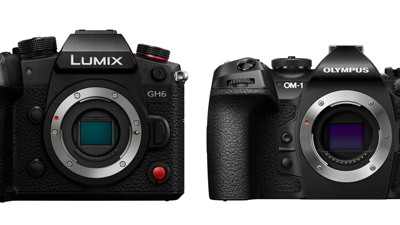 Panasonic & OM Digital Solutions Should Work Closer Together