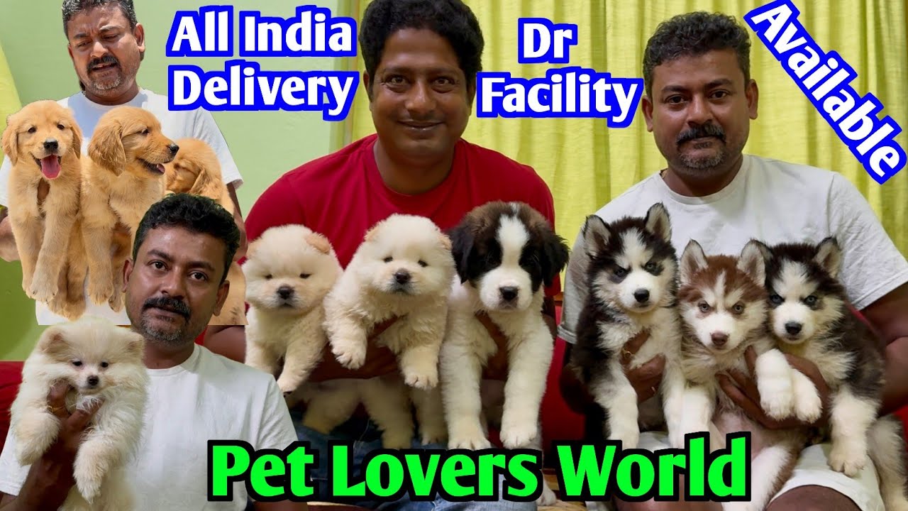 Best Pet Shop in Kolkata. Dog Market in Kolkata Price. Kolkata Dog Market Price 2025.
