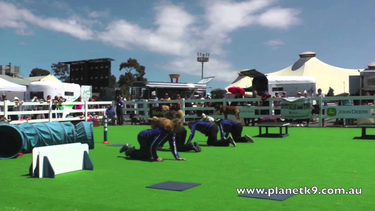 Planet K9 ALLSTARS