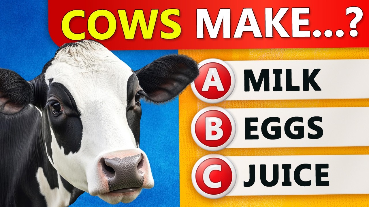 General Knowledge Quiz 🧠 35 Questions Can You Score 35/35? | Quiz DingDong
