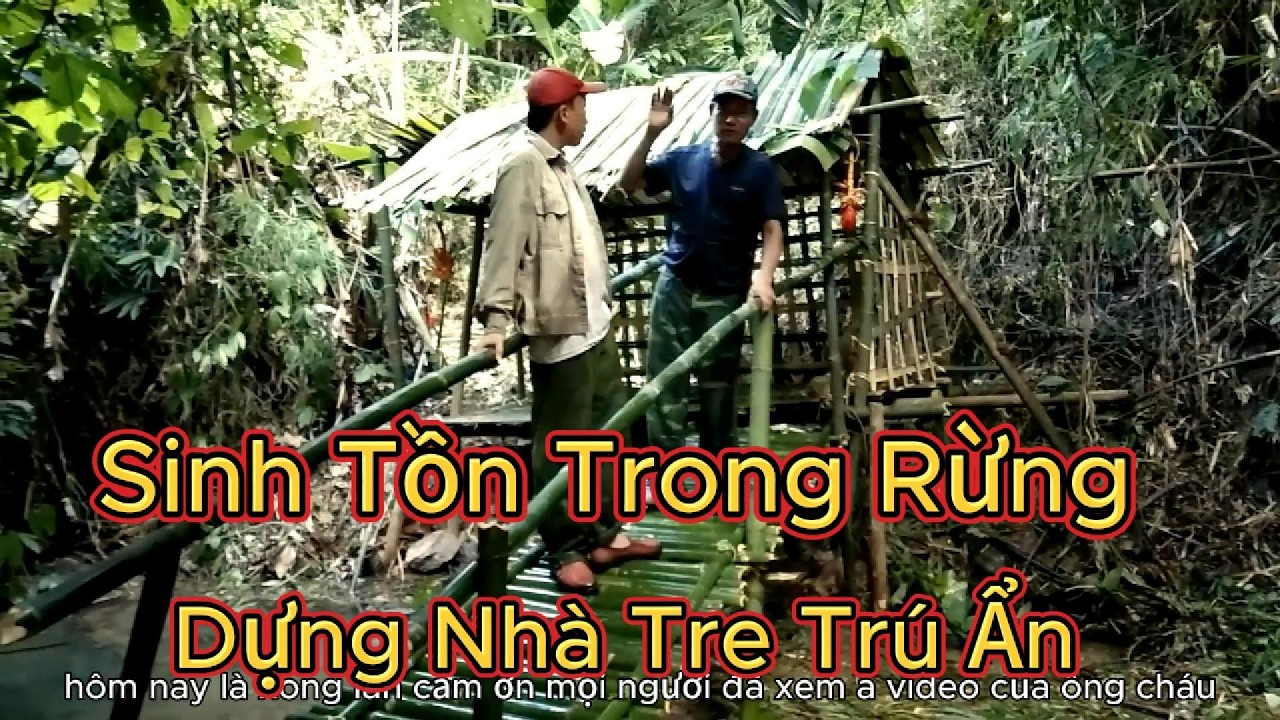 Sinh Tồn Trong Rừng: Làm Nhà Trú Ẩn Bằng Tre