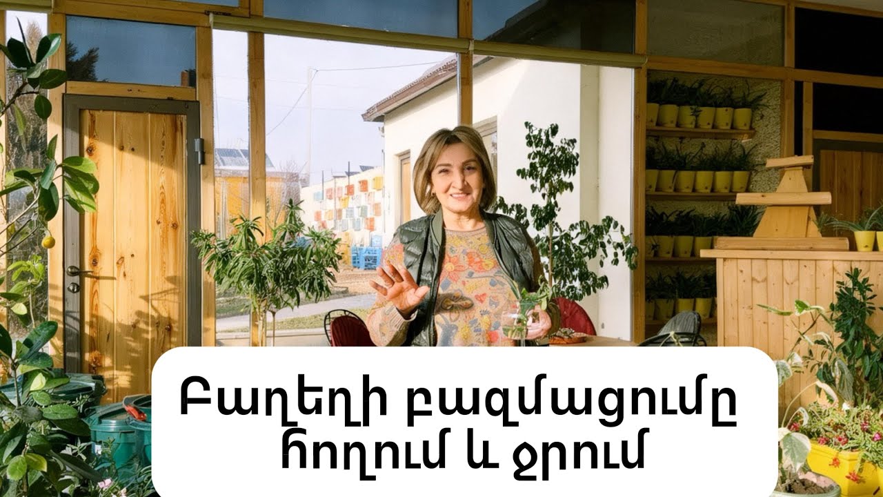 Բաղեղի բազմացում ջրում և հողի մեջ․ որն է ավելի լավը՞
