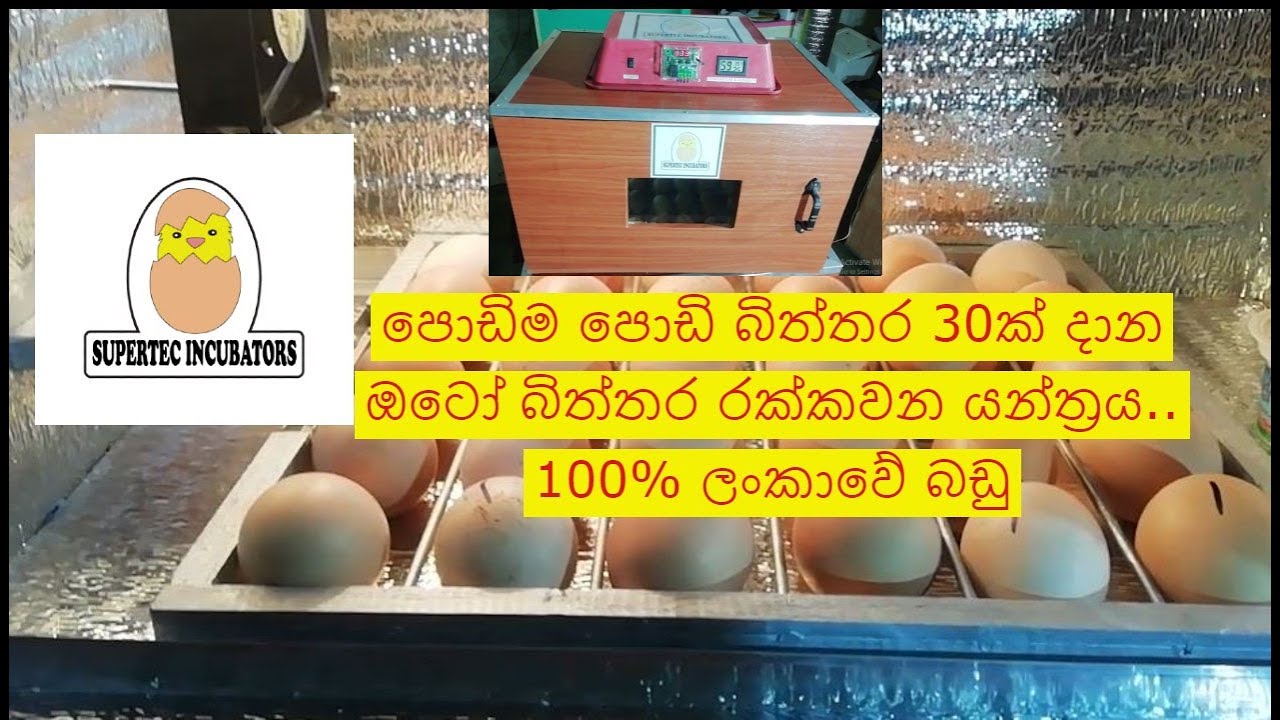 SMALL 30 EGGS AUTOMATIC INCUBATOR ( 100% SUPERTEC INCUBATOR)