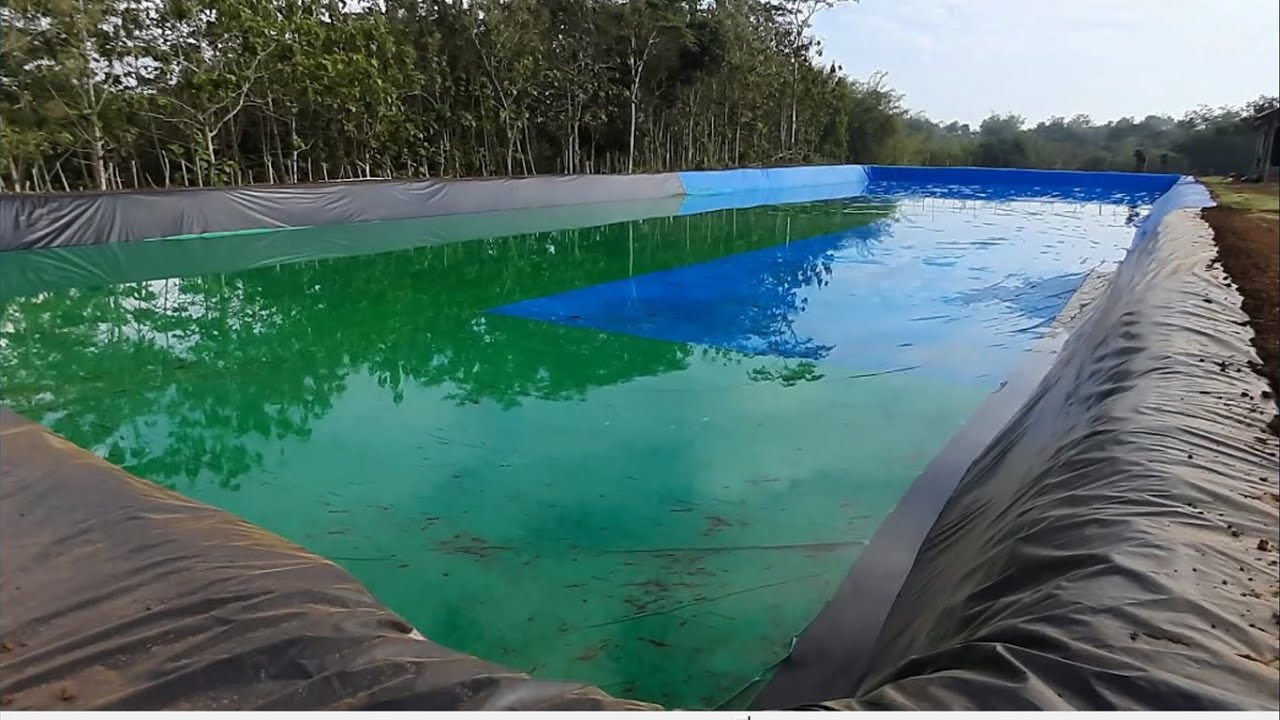 SUMUR BOR 🔴 Mengisi kolam seluas 2700 meter