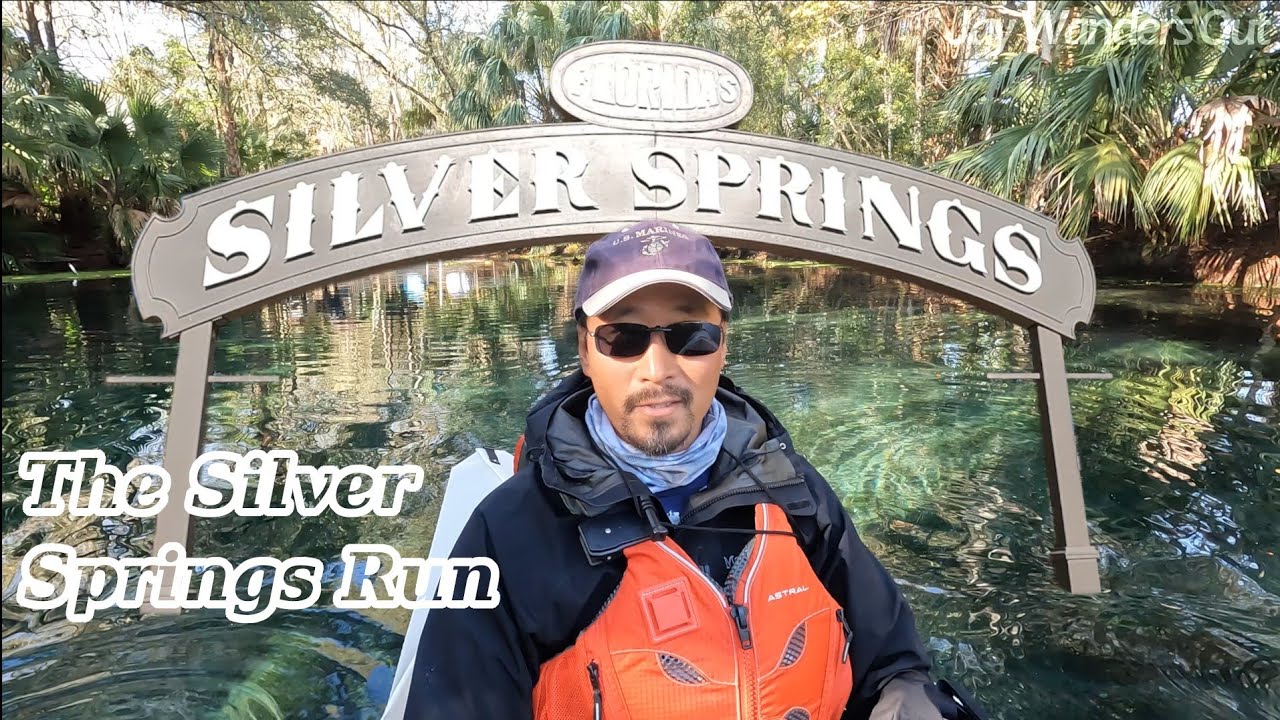 Want To See Alligators? Kayak the Silver Springs Run!