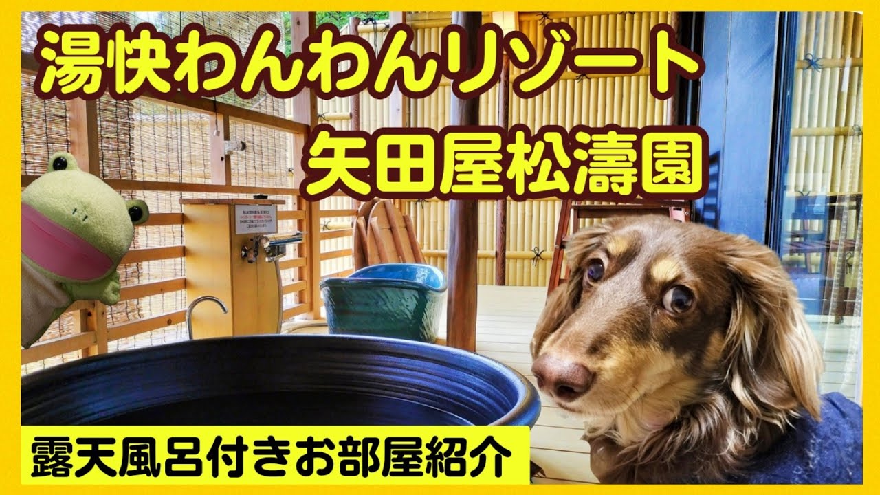 【ペットと泊まれる宿】湯快わんわんリゾート矢田屋松濤園さんを詳しく紹介。【関西弁でしゃべる犬】