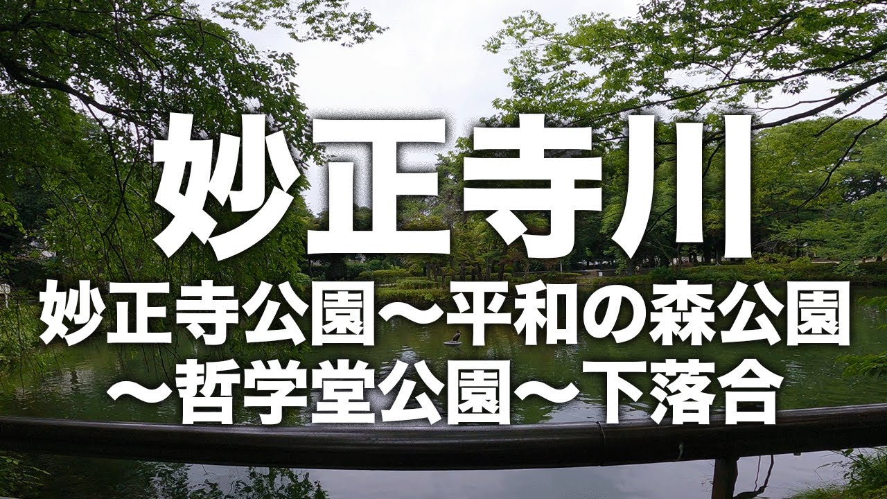 妙正寺川（妙正寺公園〜平和の森公園〜哲学堂公園〜下落合）【サイクリング風景】