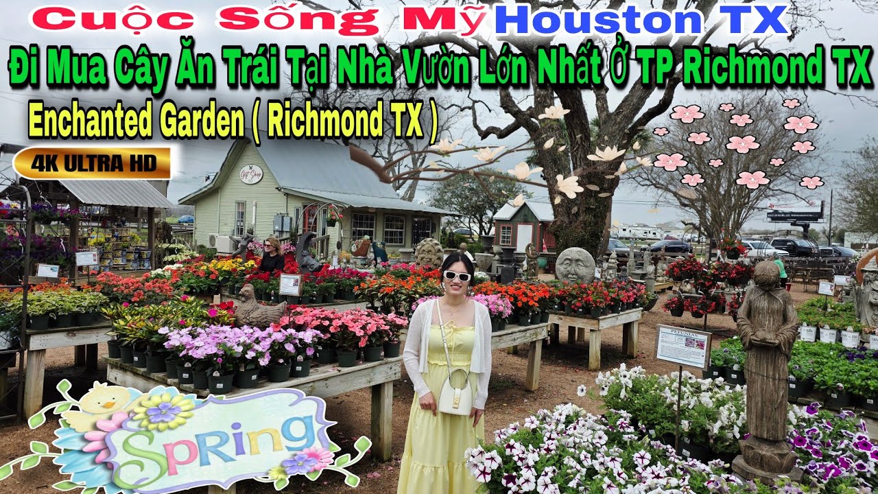 Cuộc Sống Mỹ | Đi Mua Cây Ăn Trái Tại Nhà Vườn Lớn Nhất Ở Richmond TX