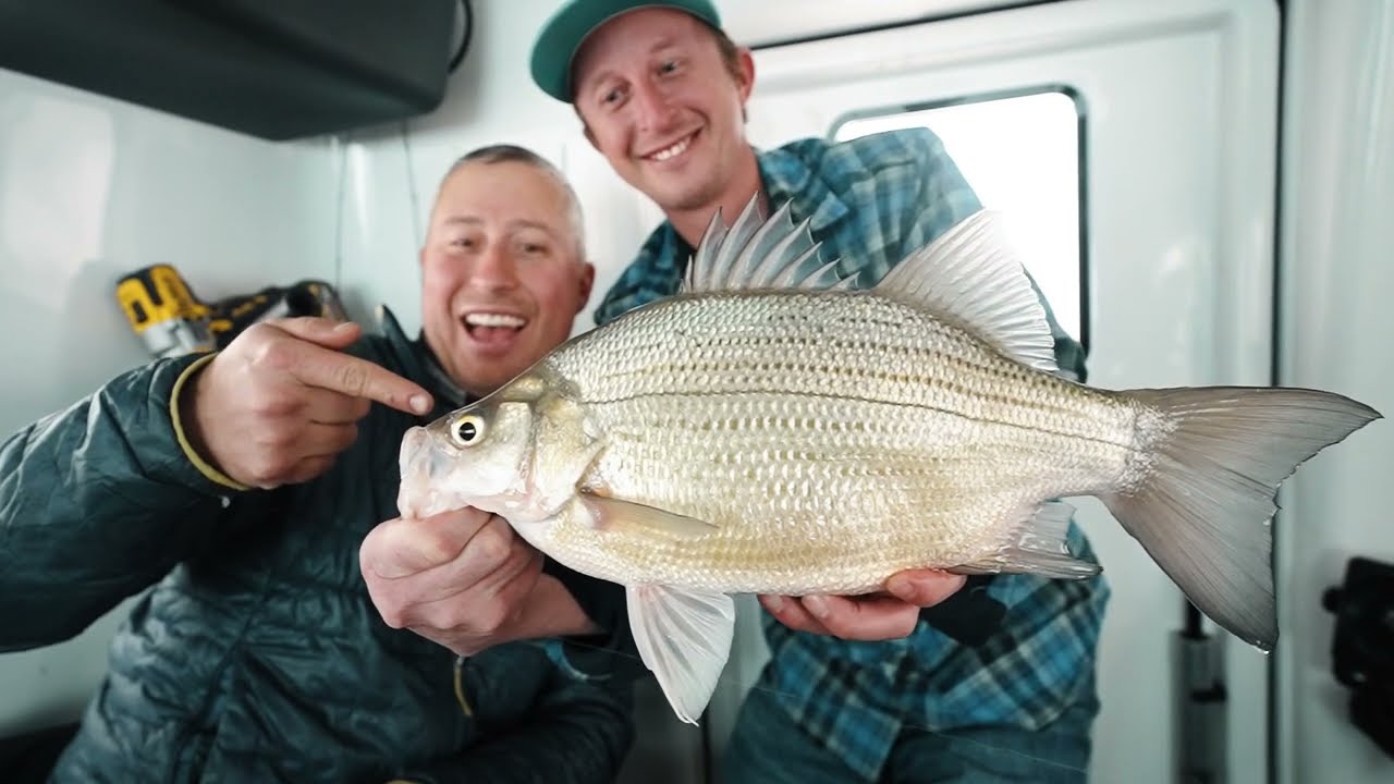 Multi-Species Beatdown on Devils Lake (New Personal Best!)