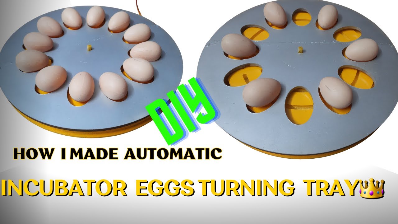 How to Make Automatic Eggs turner For Incubator - Eggs turning tray - Auto egg turner incubator