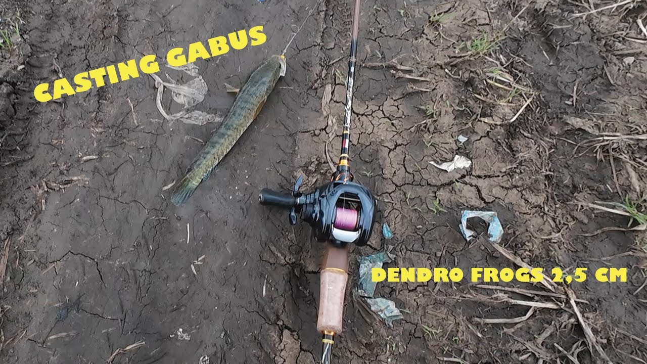 Casting Gabus Rawapening Eps : Samping Taman Wisata Axelia