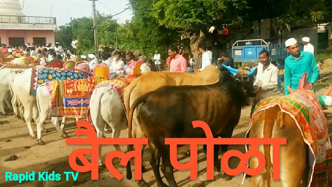 पोळ्यातील राडा! गावाकडचा बैल पोळा सण | Bail Pola San Village Full Video HD
