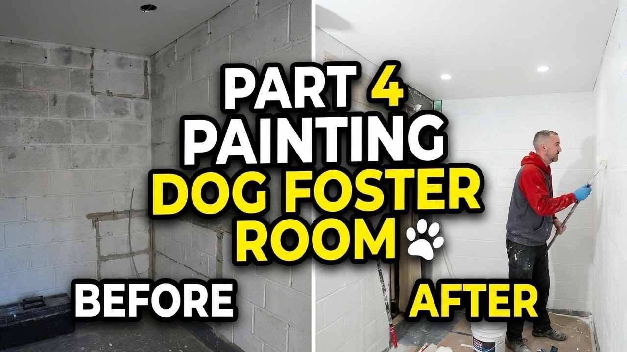 Painting Our Foster Dog Room 🐾 | DIY Dog Room Makeover for Rescue Dogs