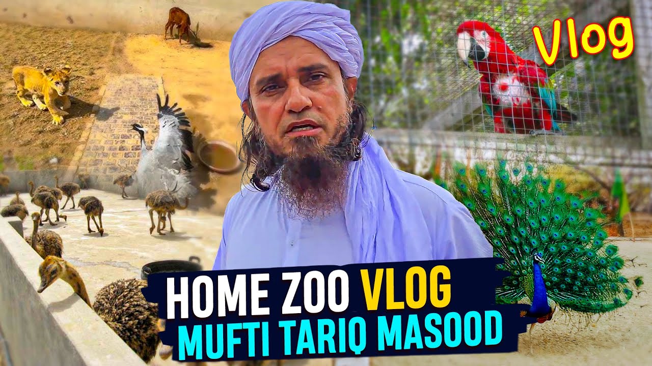 Home Zoo Live Mufti Tariq Masood - Mufti Tariq Masood Vlogs